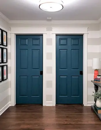 Двери в интерьере
