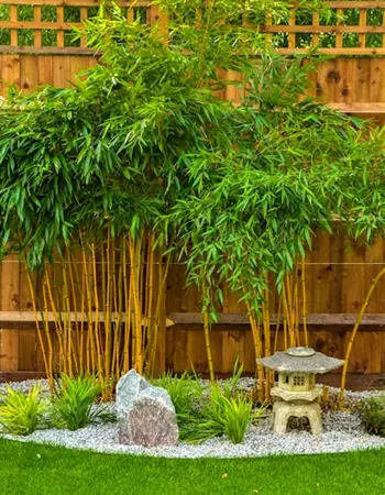 Bamboo Garden Кобулети